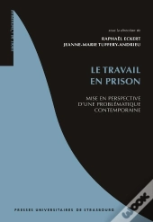 Le Travail En Prison : Mise En Perspective D'Une Problématique Contemporaine