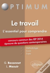 Le Travail ; L'Essentiel Pour Comprendre