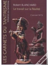 Le Travail Sur La Réalité ; Carnet T.5