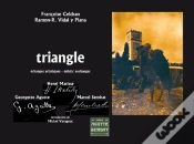 Capa do artigo Le Triangle Matisse-Agutte-Sembat