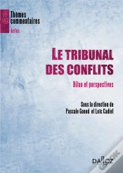 Capa do artigo Le Tribunal Des Conflits - Bilan Et Perspectives