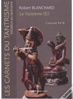 Capa do artigo Le Troisième Oeil ; Carnet T.8