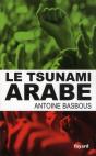 Le Tsunami Arabe - Preview
