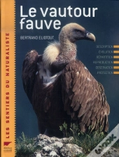 Le Vautour Fauve