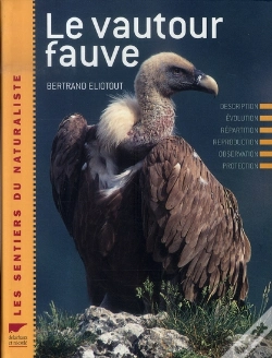Capa do artigo Le Vautour Fauve