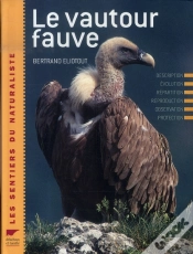 Capa do artigo Le Vautour Fauve