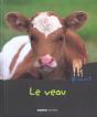 Le Veau - Preview