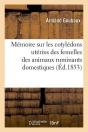 Le Vent De La Mémoire - Preview