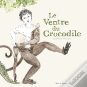 Le Ventre Du Crocodile