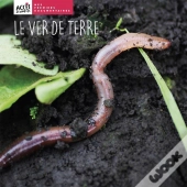 Le Ver De Terre