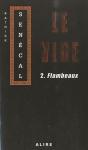 Le Vide Tome 2 ; Flambeaux - Preview