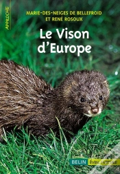 Capa do artigo Le Vison D