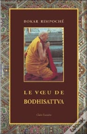 Capa do artigo Le Voeu De Bodhisattva