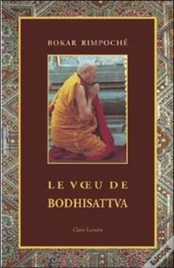 Capa do artigo Le Voeu De Bodhisattva