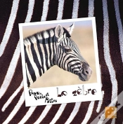 Capa do artigo Le Zebre