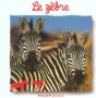 Le Zebre - Preview