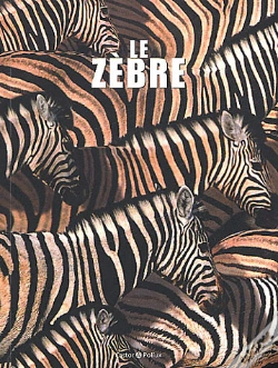Capa do artigo Le Zèbre