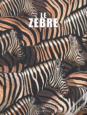 Capa do artigo Le Zèbre