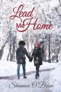 Lead Me Home - Preview