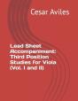 Lead Sheet Accompaniment - Preview