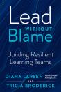 Lead Without Blame - Preview