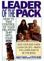 Leader Of The Pack - Preview