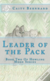 Capa do artigo Leader Of The Pack