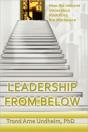 Leadership From Below - Preview