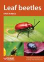 Leaf Beetles - Preview