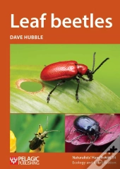 Leaf Beetles