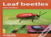 Leaf Beetles
