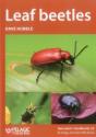 Leaf Beetles - Preview