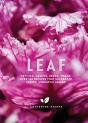 Leaf - Preview