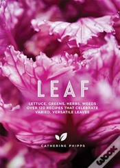 Capa do artigo Leaf