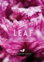 Leaf - Preview