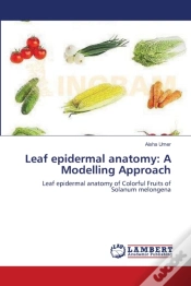 Capa do artigo Leaf Epidermal Anatomy: A Modelling Appr