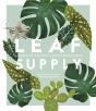 Leaf Supply - Preview