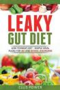 Leaky Gut Diet - Preview