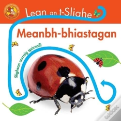 Capa do artigo Lean An T-Slighe
