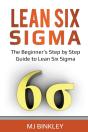 Lean Six Sigma - Preview