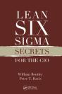 Lean Six Sigma Secrets For The Cio - Preview