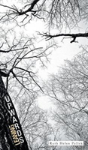 Leaning Upwards - Preview