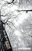 Leaning Upwards
