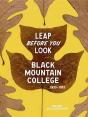 Leap Before You Look - Preview