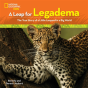Leap For Legadema - Preview