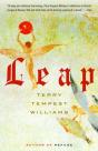 Leap - Preview
