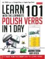 Learn 101 Polish Verbs In 1 Day - Preview