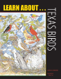 Learn About . . . Texas Birds - Preview