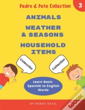 Capa do artigo Learn Basic Spanish To English Words