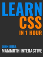 Learn Css In 1 Hour - Preview